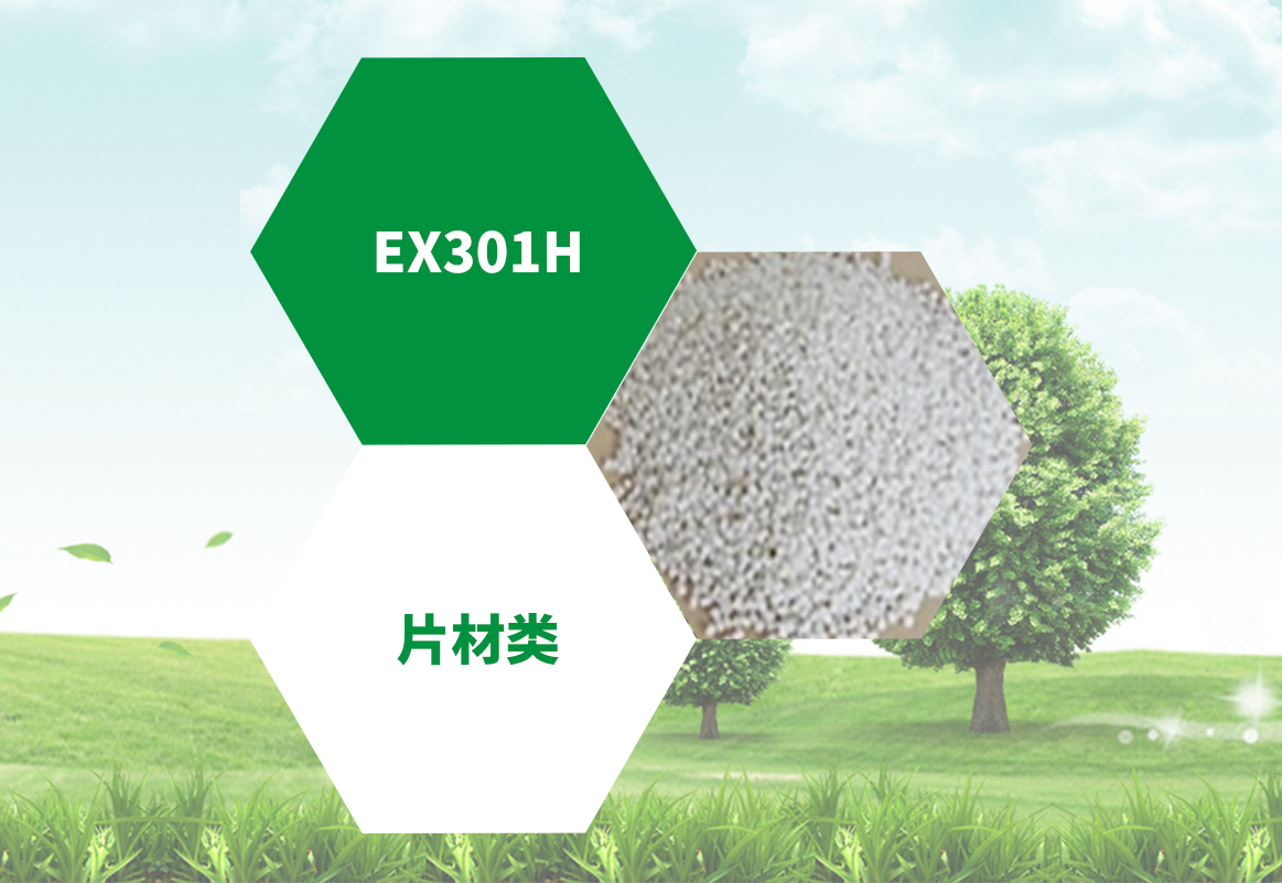  EX301H